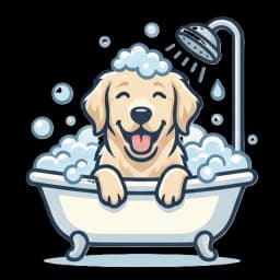 Pet bath and grooming